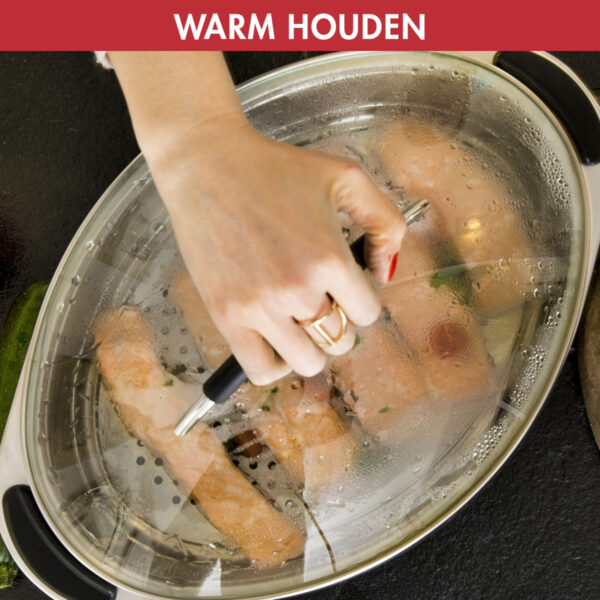 Magimixstoomkoker2x52C50ltr-11.jpg Magimixstoomkoker2x52C50ltr-11.jpg