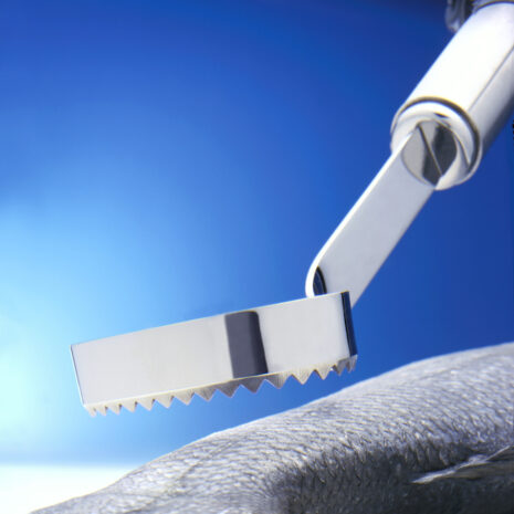 Roslevisontschubbermetophangoog21cm-2.jpg Roslevisontschubbermetophangoog21cm-2.jpg