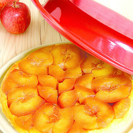 tatintaartvorm-3.jpg tatintaartvorm-3.jpg