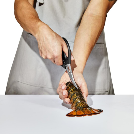 oxo kreeftenschaar oxo kreeftenschaar