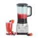 dualit vortecs blender