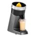citruspers santos 38g bartscher
