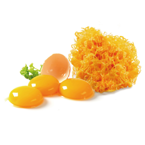 eierdraad trechter ibili eierdraad trechter ibili