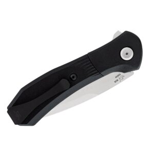 Buck Paradigm Black zakmes